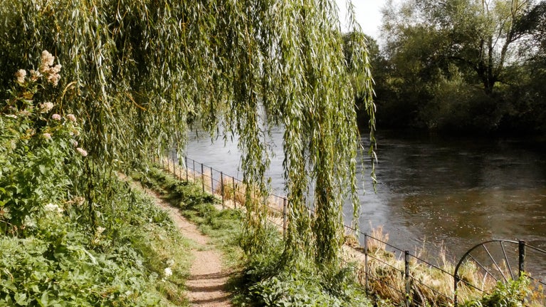 A section of the River Wye with numerous trees displaying early signs of autumn, featuring leaves changing their colours.